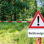 Wie Fitzeks „Königreich Deutschland“ zerschlagen wurde
