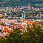 Gemeinsam gegen Betrug