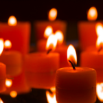 Mitgliederversammlung des Regionalverbund Thüringer Wald e.V. gibt Einblick in die Tourismusarbeit 2025