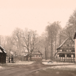 Suhl: Hund beißt Mädchen in den Arm – PETA fordert Hundeführerschein in Thüringen