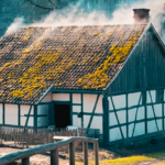 Ballett kreativ:  „Entdeckt bei Dornröschen“