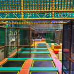 Welche Waldpflanzen blühen als erstes?