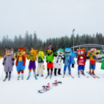 Die HPV Impfung schützt vor Gebärmutterhalskrebs – lang erwartete Bestätigung nun veröffentlicht