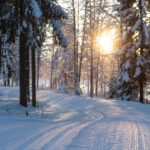 Auf den Spuren von „Rolf Anschütz und seinem legendären Japanrestaurant“