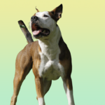 Winterferien im Hennebergischen Museum – Kreativ, spannend und voller Entdeckungen!