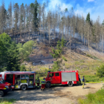 Augen auf beim Gebrauchtwagenkauf
