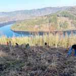 Thüringen ist günstigstes Camping-Bundesland