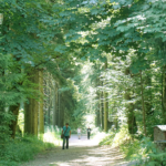 Stadtfest Zella-Mehlis – 11. bis 13. September 2026